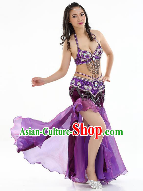 Top Indian Belly Dance India Traditional Raks Sharki Purple Dress Oriental Dance Costume for Women