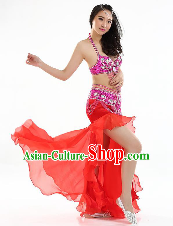 Top Indian Belly Dance India Traditional Raks Sharki Red Dress Oriental Dance Costume for Women