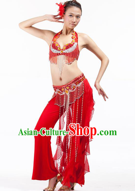 Top Grade Belly Dance Red Uniform Indian Raks Sharki Oriental Dance Clothing for Women