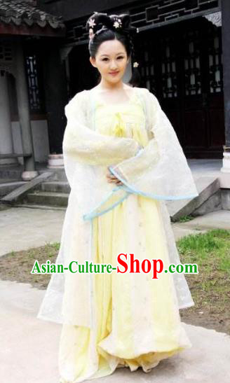 Ancient Chinese Tang Dynasty Princess Embroidered Hanfu Dress Replica Costume for Women