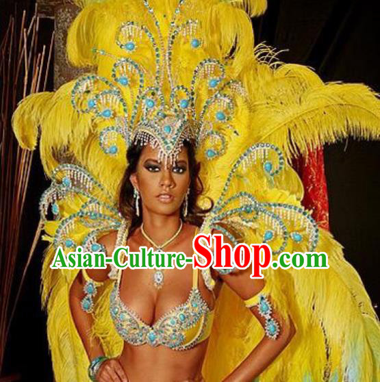 Top Grade Brazilian Carnival Costumes Halloween Feather Accessories Feather Headdresses Miami Stage Performance Feathers Wings for Women