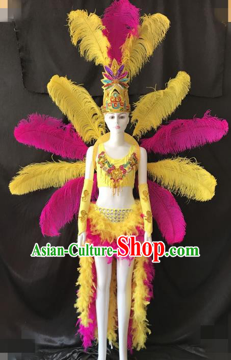 Top Grade Catwalks Costume Brazilian Carnival Samba Dance Bikini Feather Wings and Headdress for Women