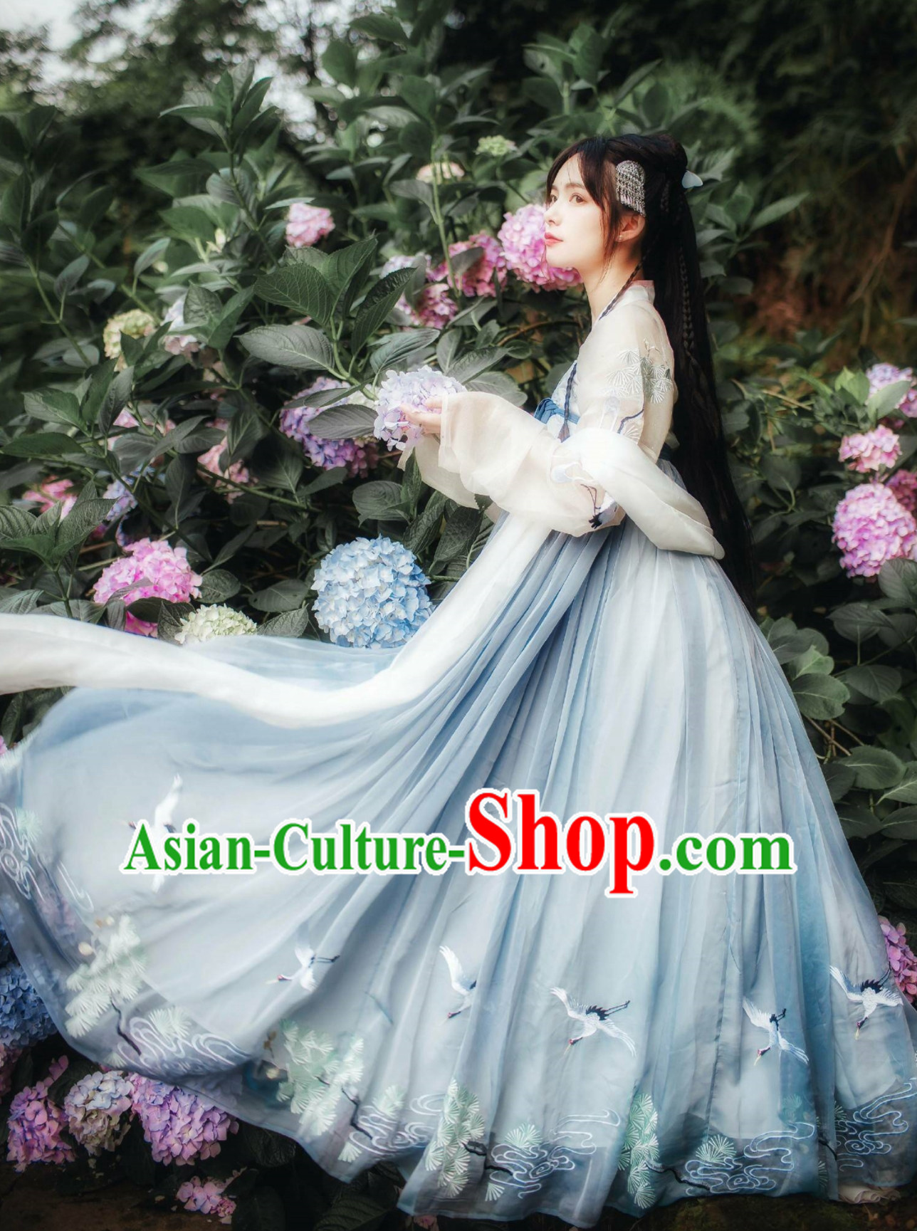 Chinese Classical Dancing Tang Dynasty Hanfu Clothing Complete Set for Women