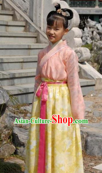 Chinese Ancient Tang Dynasty Princess Taiping Dress Replica Costume for Women