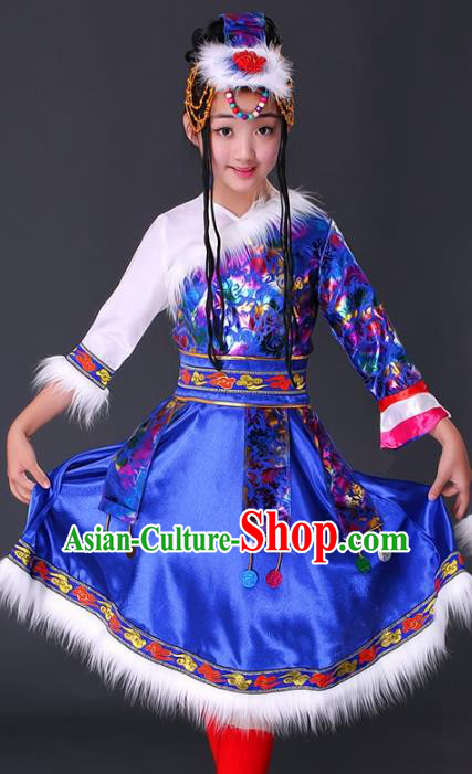 Traditional Chinese Zang Nationality Dance Costume, Chinese Folk Dance Ethnic Clothing Tibetan Minority Blue Dress for Women