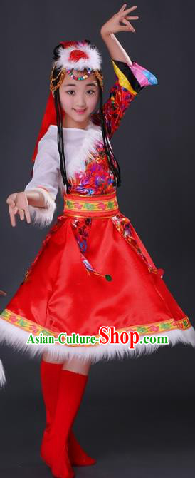 Traditional Chinese Zang Nationality Dance Costume, Chinese Folk Dance Ethnic Clothing Tibetan Minority Red Dress for Women