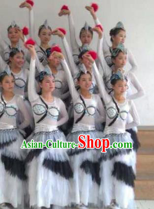 Traditional Chinese Classical Dance Costume, Folk Dance Yanko Swan Goose Dance Dress for Women