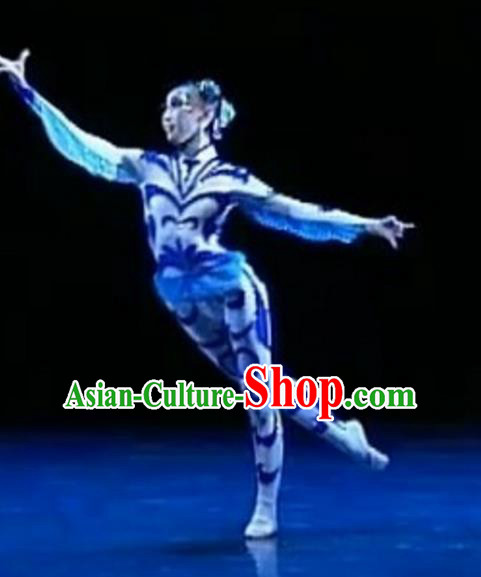 Traditional Chinese Folk Dance Ballet Costume, China Classical Dance Dress Clothing for Women