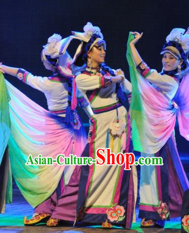 Chinese Traditional Folk Dance Stage Performance Costume, China Classical Dance Dress Clothing for Women