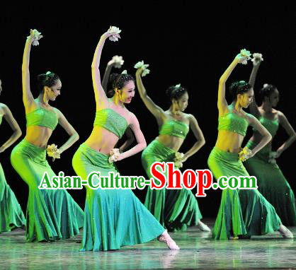 Chinese Traditional Folk Dance Stage Performance Costume, China Classical Dance Pavane Dress Clothing for Women