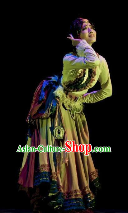 Traditional Chinese Tibetan Dance Ethnic Costume, Folk Dance Zang Minority Nationality Dance Clothing for Women