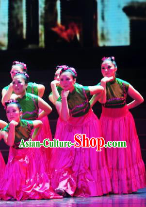 Traditional Chinese Folk Dance Ethnic Costume, China Classical Dance Clothing for Women