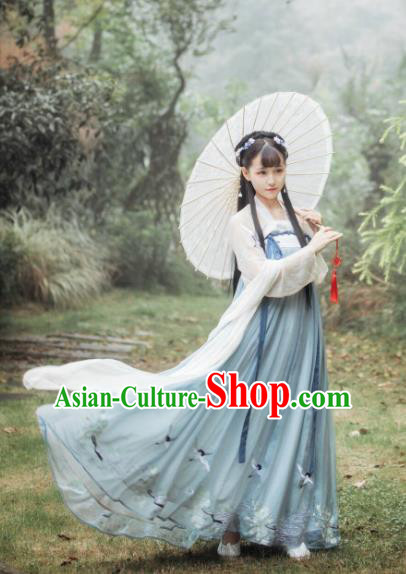 Ancient Chinese Traditional Tang Dynasty Princess Embroidered Costumes for Women