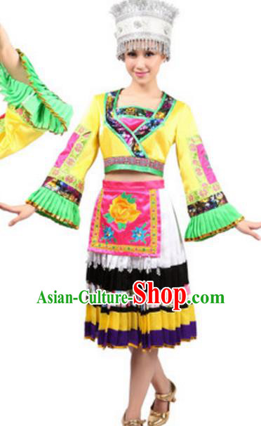 Traditional Chinese Miao Nationality Dance Pleated Skirt, Chinese Hmong Ethnic Folk Dance Clothing for Women