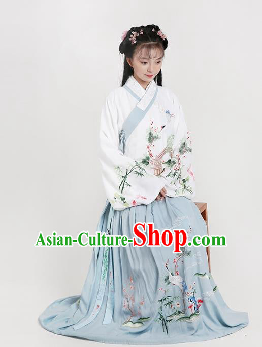 Chinese Ancient Ming Dynasty Princess Costumes Embroidered Hanfu Blouse and Skirt for Women