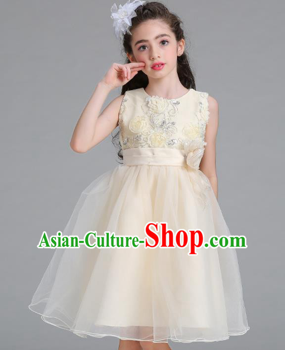 Children Models Show Compere Costume Stage Performance Catwalks Champagne Veil Full Dress for Kids