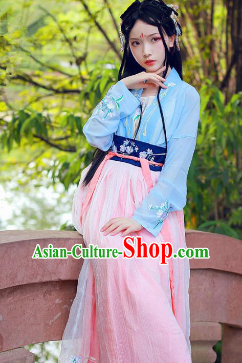 Chinese Ancient Swordswoman Dress Song Dynasty Young Lady Embroidered Hanfu Clothing for Women