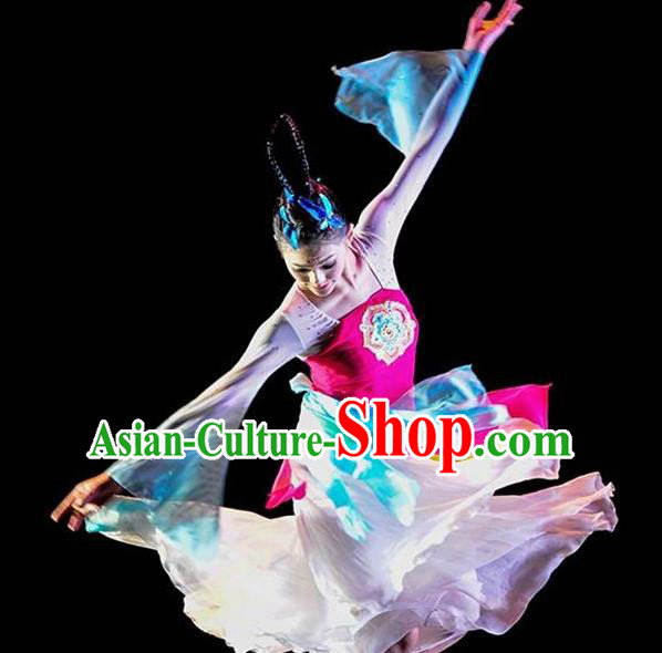 Chinese Traditional Folk Dance Costume Classical Dance Clothing for Women