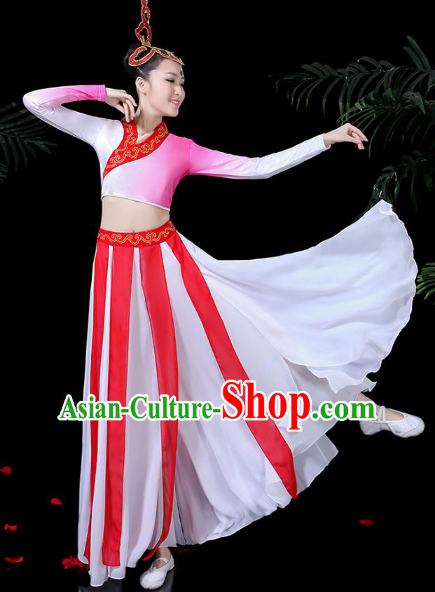 Traditional Chinese Fan Dance Folk Dance Costume Classical Yangko Dance Classical Dance Dress