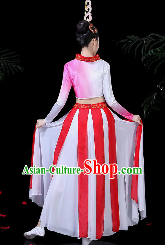 Traditional Chinese Fan Dance Folk Dance Costume Classical Yangko Dance Classical Dance Dress