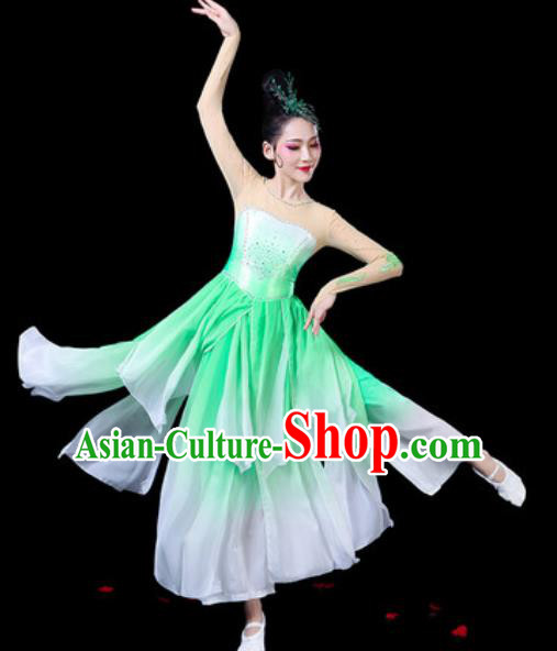 Chinese Classical Dance Costumes Traditional Umbrella Dance Green Dress for Women