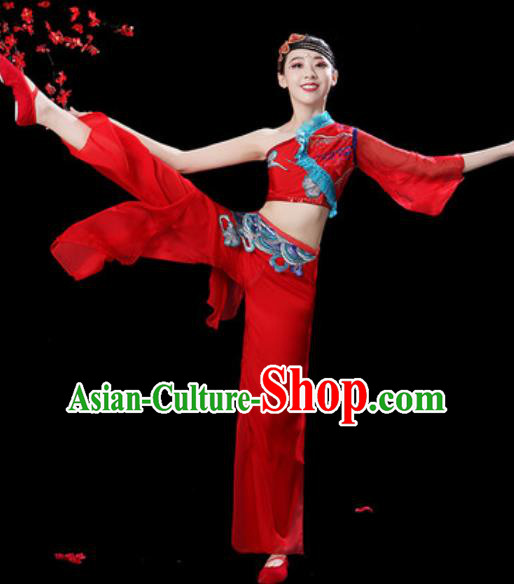 Traditional Chinese Folk Dance Single Sleeve Costumes Fan Dance Yangko Dance Red Clothing for Women