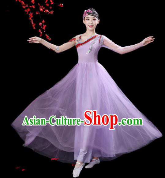 Professional Modern Dance Costumes Stage Show Chorus Group Dance Lilac Dress for Women