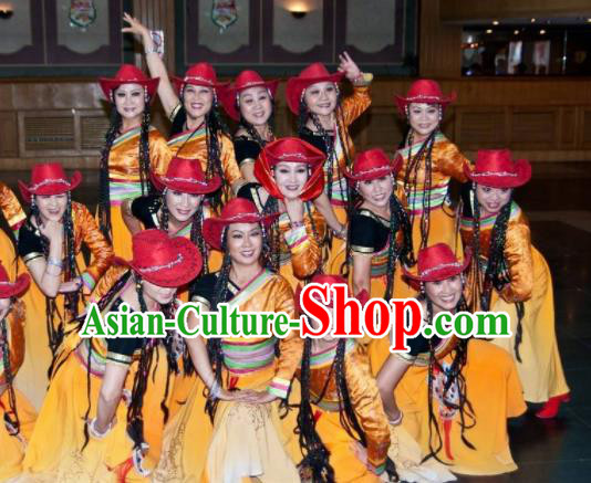 Chinese Traditional Tibetan Nationality Group Dance Costumes Classical Dance Stage Performance Dress for Women