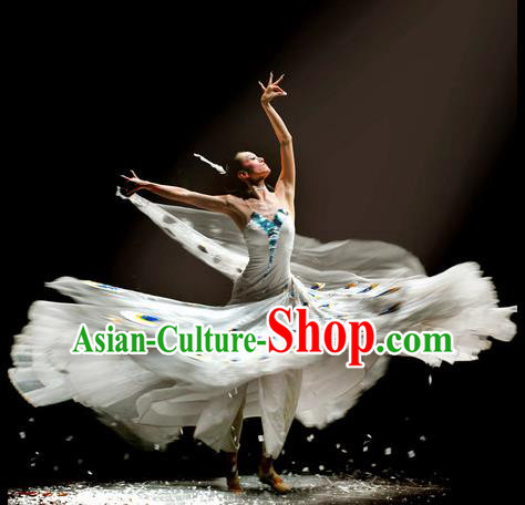 Chinese Traditional Dai Nationality Group Dance Costumes Classical Dance Stage Performance Dress for Women