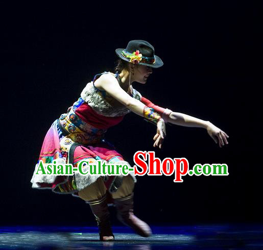 Chinese Traditional Zang Nationality Dance Costumes Group Dance Stage Performance Dress for Women