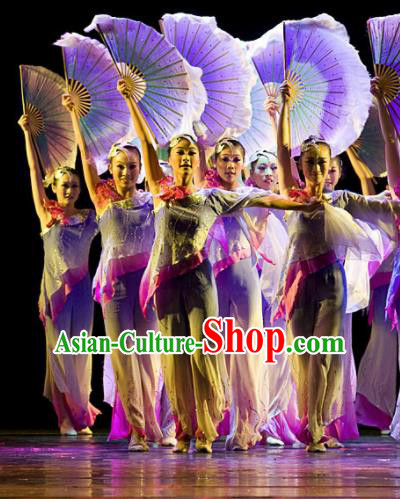 Chinese Traditional Fan Dance Costumes Stage Performance Folk Dance Dress for Women