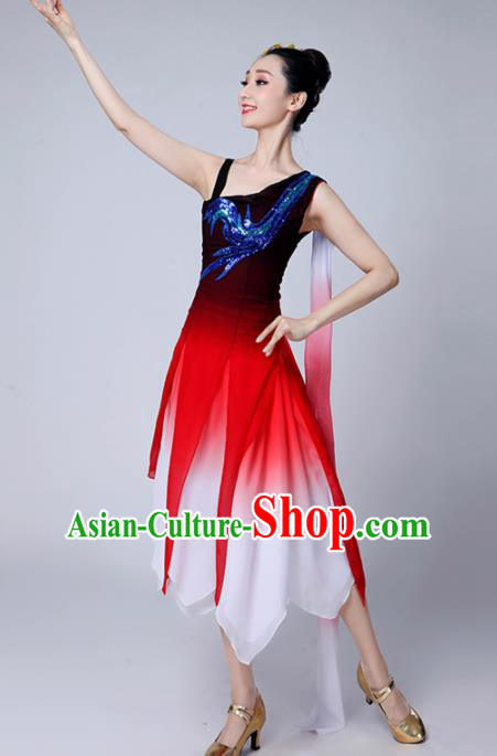 Chinese Traditional Classical Dance Costumes Stage Performance Dance Dress for Women