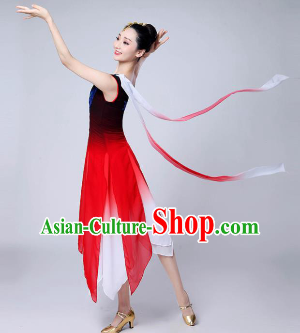 Chinese Traditional Classical Dance Costumes Stage Performance Dance Dress for Women