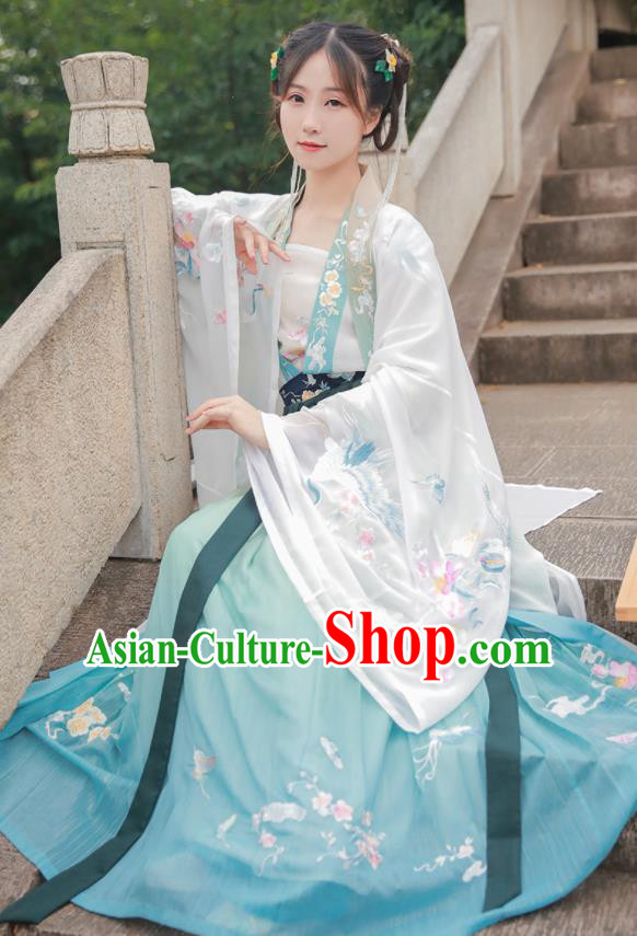 Traditional Chinese Song Dynasty Nobility Lady Hanfu Dress Ancient Royal Princess Historical Costumes for Women