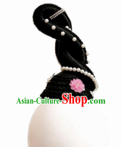Traditional Chinese Classical Dance Butterfly Lovers Hair Accessories Fan Dance Wig Chignon Headdress for Women