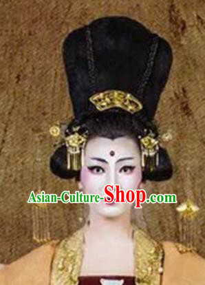 Traditional Chinese Classical Dance The Ballad of Beauties Du Fu Hair Accessories Water Sleeve Dance Wig Chignon Headdress for Women