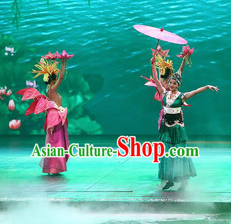 Chinese The Romantic Show of Songcheng West Lake Legend Dance Dress Stage Performance Costume for Women