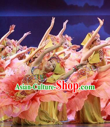 Chinese The Ship Legend of Huashan Zhuang Nationality Dance Pink Dress Stage Performance Costume and Headpiece for Women