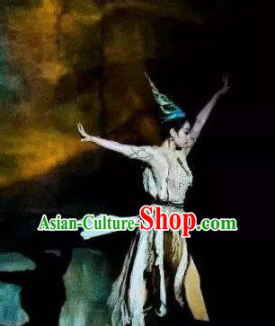 Chinese Peoformance In Panshan Mountain Classical Dance Dress Stage Performance Costume and Headpiece for Women