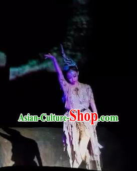 Chinese Peoformance In Panshan Mountain Classical Dance Dress Stage Performance Costume and Headpiece for Women