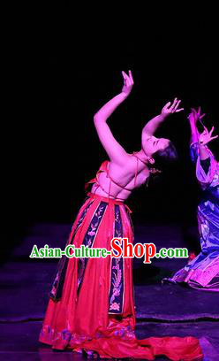 Chinese Dreaming In Hometown Classical Dance Red Dress Stage Performance Costume and Headpiece for Women