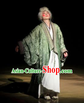 Chinese The Legend of Zhugeliang Three Kingdoms Period Dowager Countess Hanfu Dress Stage Performance Costume for Women