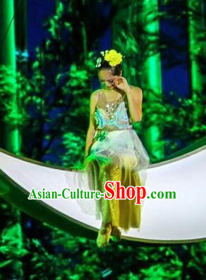 Chinese Jin Show Dan Zhai Miao Nationality Dance Dress Stage Performance Costume and Headpiece for Women