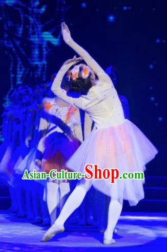 Traditional Chinese Children Classical Dance Crested Ibises Dress Stage Show Costume for Kids