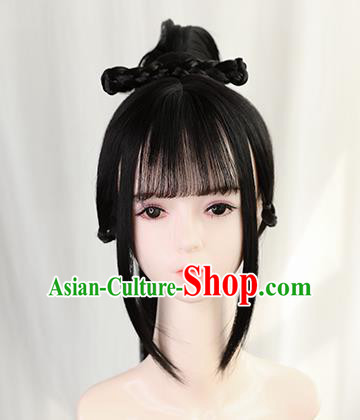 Traditional Chinese Cosplay Ming Dynasty Swordswoman Wigs Sheath Ancient Nobility Lady Chignon for Women