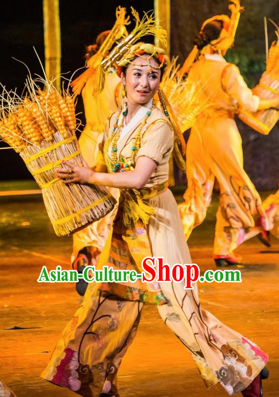 Chinese Happiness On The Way Zang Nationality Farmwife Dance Dress Stage Performance Costume and Headpiece for Women