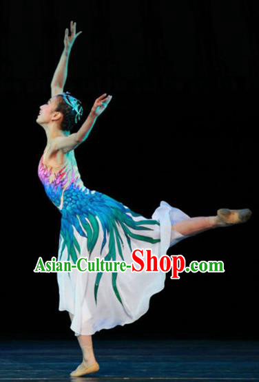 Chinese Female Embroider Classical Dance Dress Stage Performance Costume and Headpiece for Women