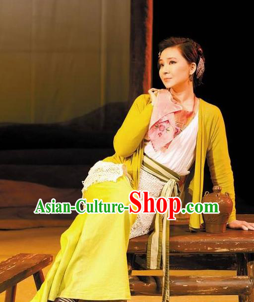 Chinese Drama New Dragon Inn Ancient Landlady Dress Stage Performance Dance Costume and Headpiece for Women