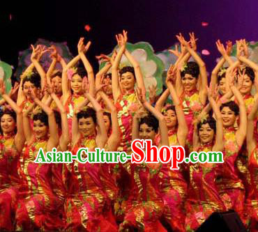 Chinese South Beauty Classical Dance Rosy Dress Stage Performance Costume and Headpiece for Women