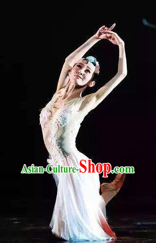 Crested Ibises Chinese Classical Dance White Dress Stage Performance Dance Costume and Headpiece for Women